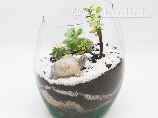 Realizzazione Terrarium aperti.jpg