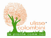 Società Agricola Colombini Ulisse Srl