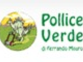 POLLICE VERDE