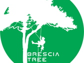 Brescia Tree Climbing
