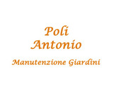 Antonio Poli