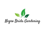Negro Brida Gardening