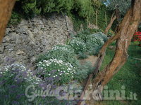 Il Giardino D'autore di Francesca Lercari Architetto Paesaggista