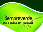 Sempreverde Giardinaggio