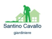 Santino Cavallo