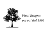 Vivai Brugna - Trento 