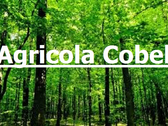 Agricola Cobel