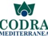 Codra Mediterranea