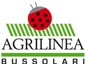 AGRILINEA BUSSOLARI SRL