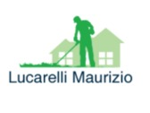 Lucarelli Maurizio