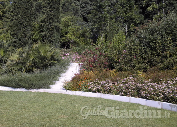 Merletti garden design