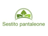 Sestito pantaleone