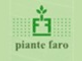 PIANTE FARO