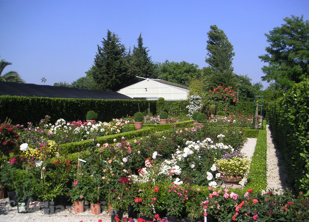 Il nostro giardino all'italiana in primavera...