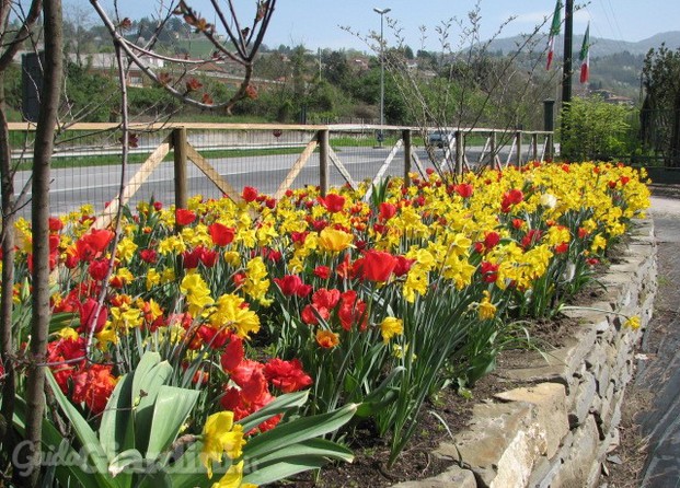 aiuole e giardini