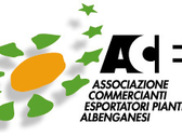 Acea Italy