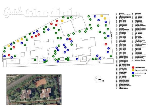 Censimenti arborei e piani di manutenzione ordinaria e straordinaria