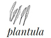 Plantula