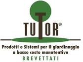 Tutor International Srl