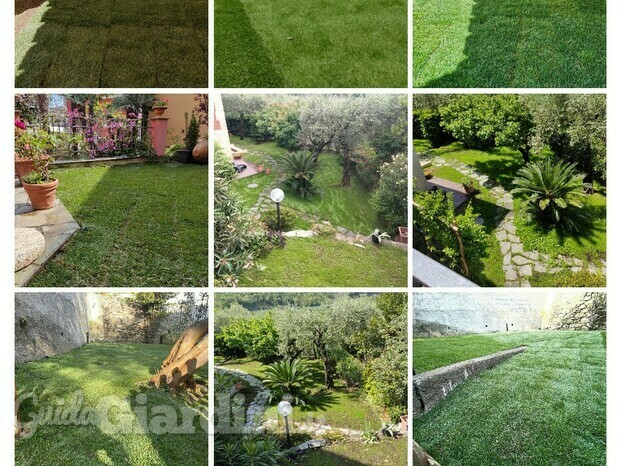 20220829_150230-COLLAGE.jpg
