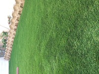 IMG-20221201-WA0001.jpeg