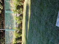 20230328_165437.jpg