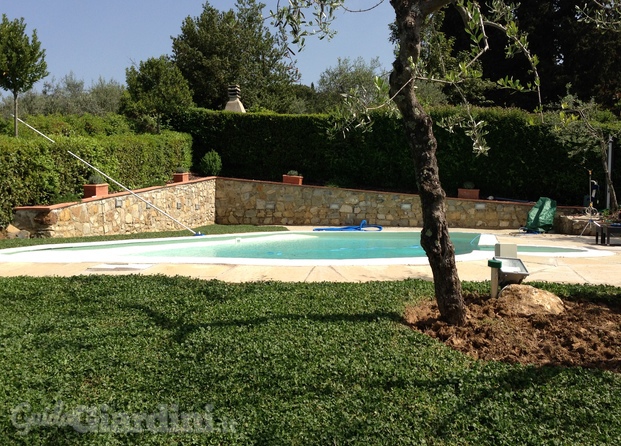 spazio verde che circonda una piscina