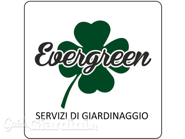 Evergreen di Munno Damiano