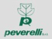 PEVERELLI