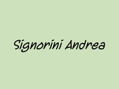 Signorini Andrea