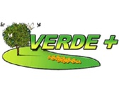 Verde + s.r.l.s.