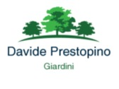 Davide Prestopino