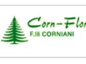 Corn - Flor