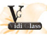 VIDIGLASS