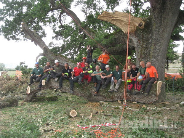 Quercia delle Checche.