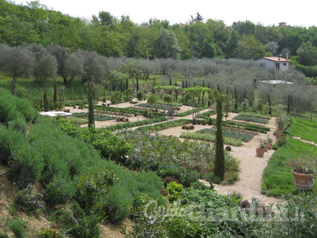 Giardino alla Francese del mediterraneo.