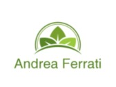 Andrea Ferrati