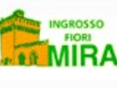 MIRA - Vendita all'ingrosso di fiori e piante