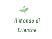 Logo Il Mondo di Erianthe