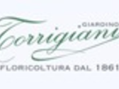 GIARDINO TORRIGIANI