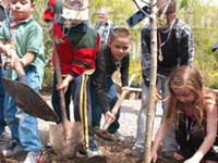 Studio Tecnico Di Arboricoltura Ornamentale  E Gestione Del Verde