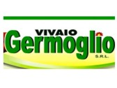 Vivaio Germoglio SRL