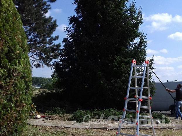 Giardiniere a Torino