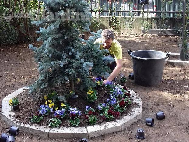 Giardiniere a Torino