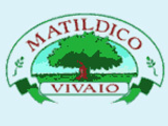 Vivaio Matildico