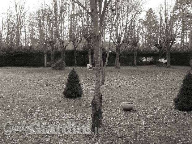 Immagine grande giardino villa prima della sistemazione