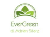 EverGreen di Adrian Sitarz