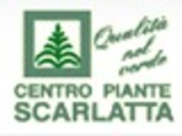 CENTRO PIANTE SCARLATTA