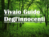 Vivaio Guido Degl'innocenti