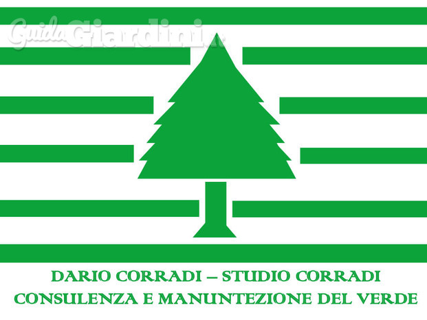 Studio Dario Corradi 